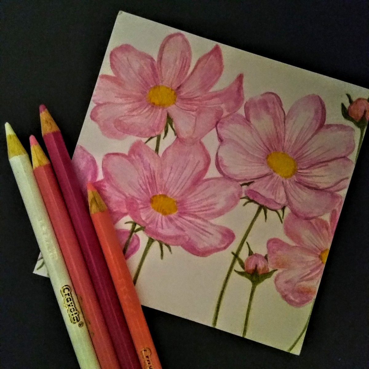 walteranddoris's tweet photo. 'Live simple, love well, and take time to smell the flowers along the way.' - Mark Twain
#sofascribbles #crayola #pencil #doodleaday #doodle #creativity #lockdownart #art #create #inthistogether #cosmos #flower #flowerdrawing #artistsonfacebook #artistsontwitter #artists https://t.co/N04KVm380v