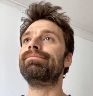 evendeadimthero's tweet photo. sebastian stan as puppies: a thread https://t.co/rBO29ADKKc