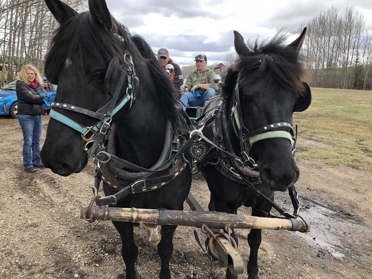 Virtual Trail Ride supporting Organ &amp; Tissue Donation Awareness 💚 #2ndCTR2020 #organdonation