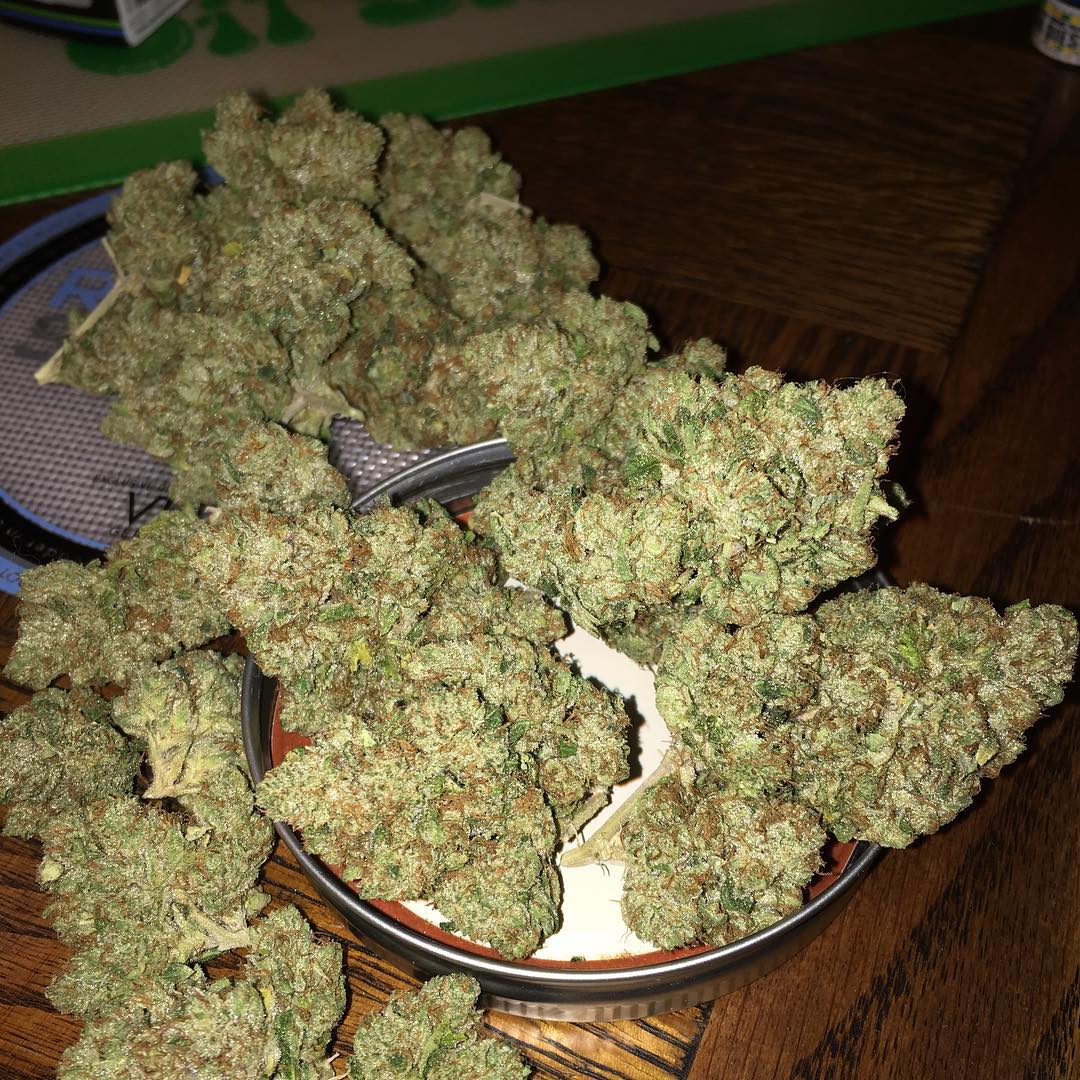 Wickr Me at cordova777 #weednetherlands #420netherlands #weedaustralia #weedsydney #420sydney #420australia #weedparis #420paris #420dubai #weeddubai #weedstragram #weedingphotography #weedsofinstagram #weedcierzo #weedtoy #weedfriendly #weedandadventures #weedoflife #weedboys