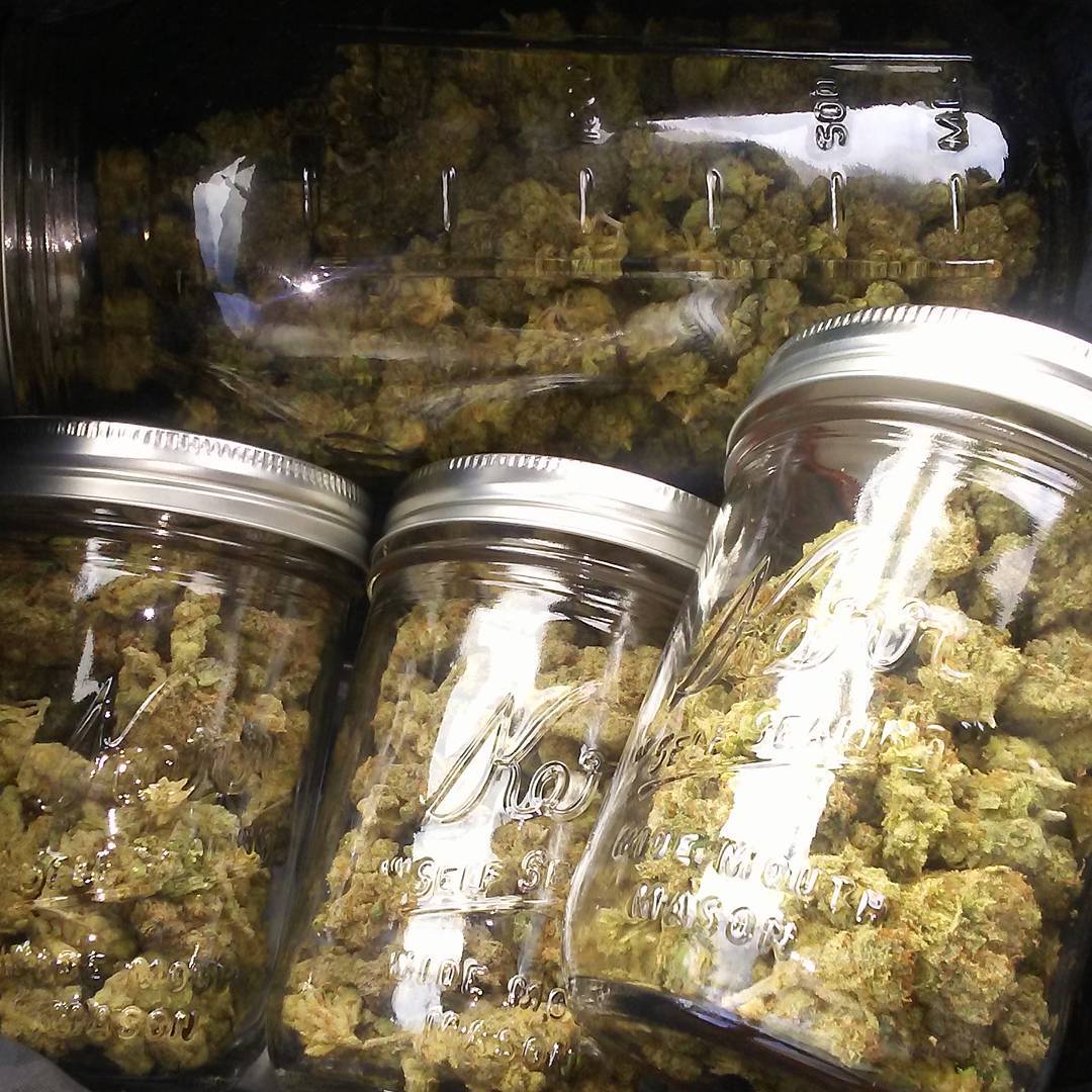JakeG97479664's tweet photo. Wickr Me at  cordova777

#aussiestoners #weedaustralia #420australia #420qata #420austria #weedaustria #weedswitzerland #420switzerland #weedgreece #420greece #weedportugal #420purtugal #weedirealand #420irealand #weedandora #420andora #weedspain #420spain https://t.co/pjNIvRmR2M
