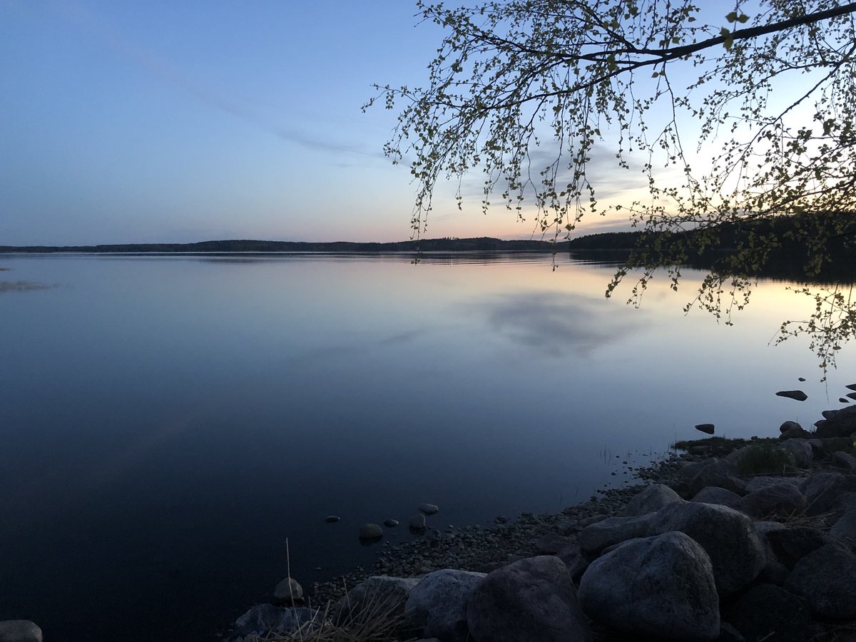 TNarhi's tweet photo. Tyyntä Matidan selkää #mathildedahl #illanvalo https://t.co/OCB8sQNaRJ