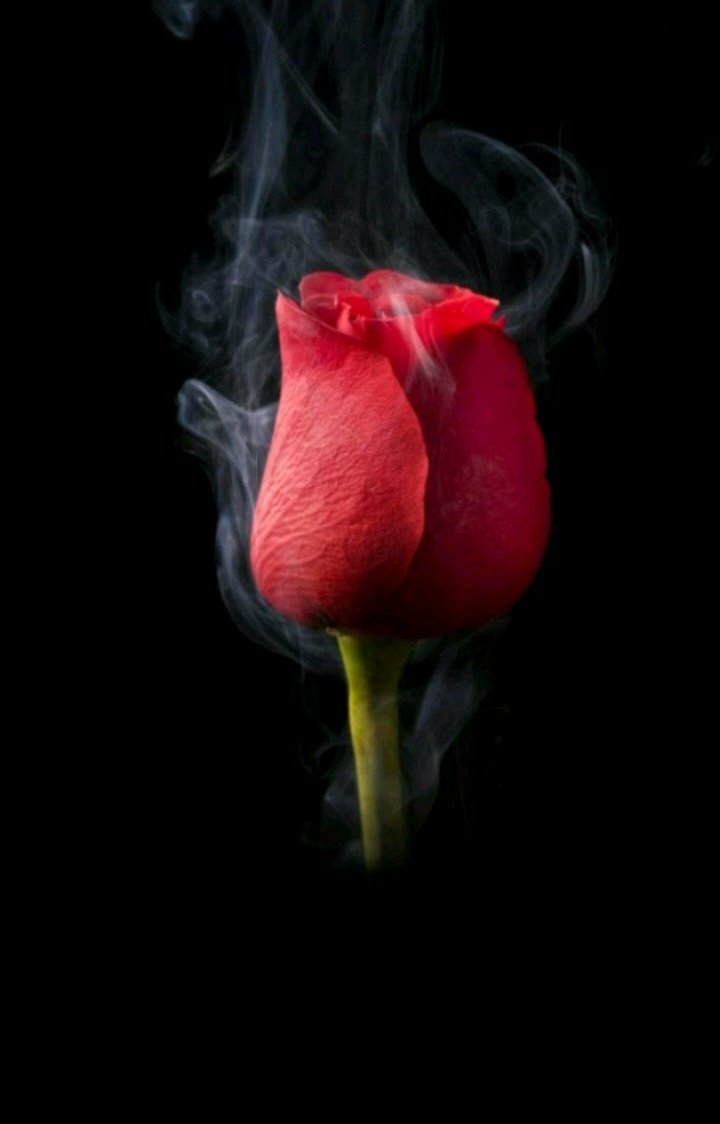 d_jiqa's tweet photo. شكرآ ق��اة 218 علي اعادة مسلسل شط الحرية لفتة رائعة و لطيفة منكم ربي يحفظكم ويحفظ اسرة القناة بل كامل و كل عام وانتم بألف خير 
@218Tv @ShattAlhurriya https://t.co/G4Ht48MtGc