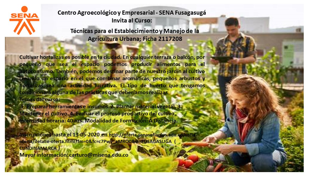 vivero siempre verde vsiempreverde