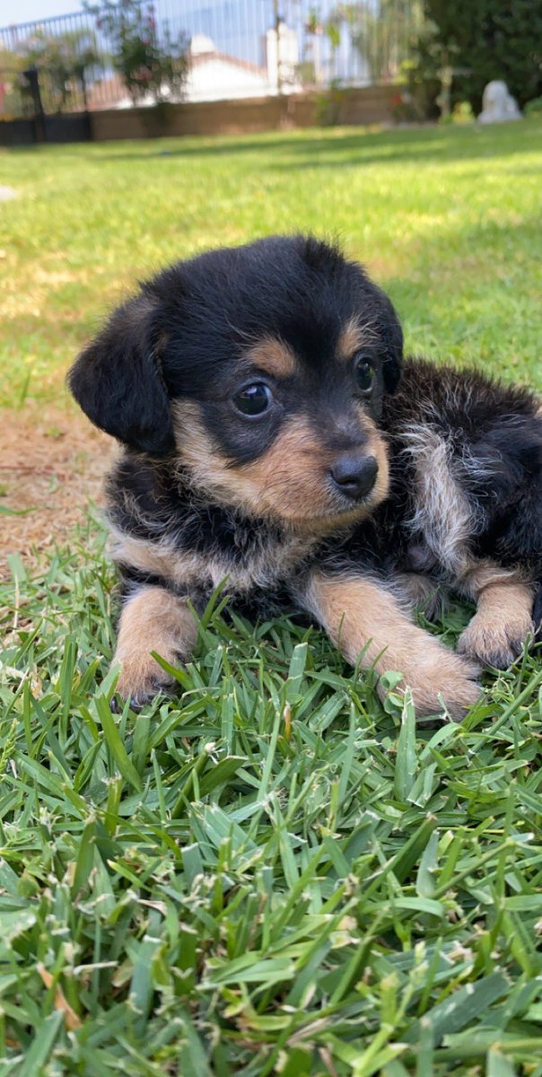 John Martin tweet media