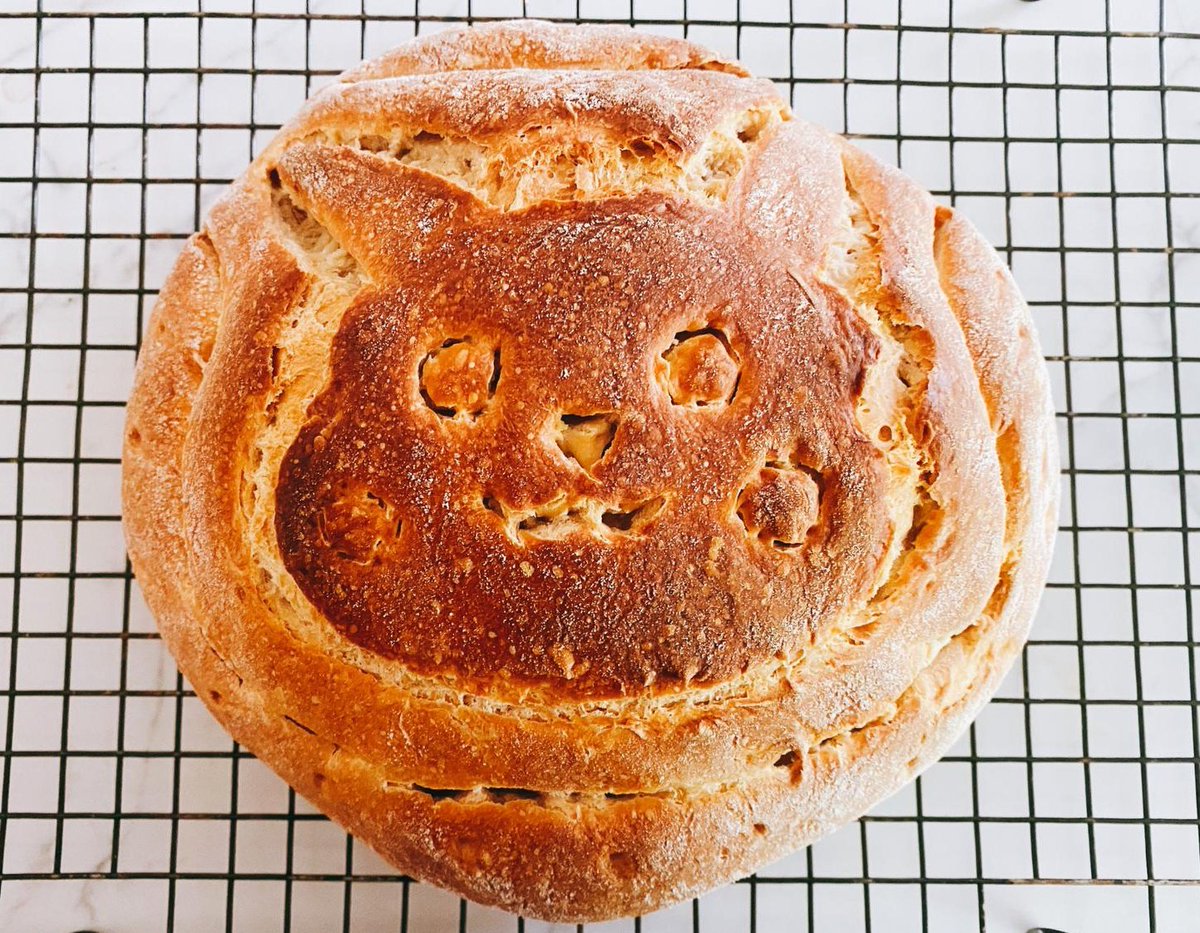 taolloween's tweet photo. Sourdough I choose you! Adorb #quarantinebake by my sis @liddybird https://t.co/d40nbNeuZW