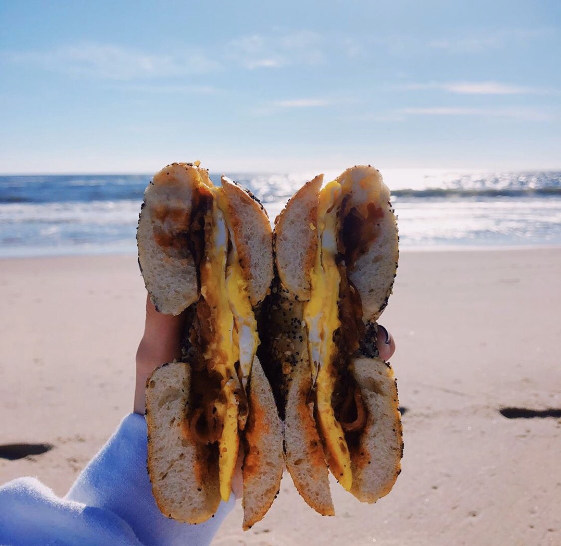 Theflagel's tweet photo. a Flagel enjoying the views of Long Island #flagels https://t.co/PrdWu2Gy99
