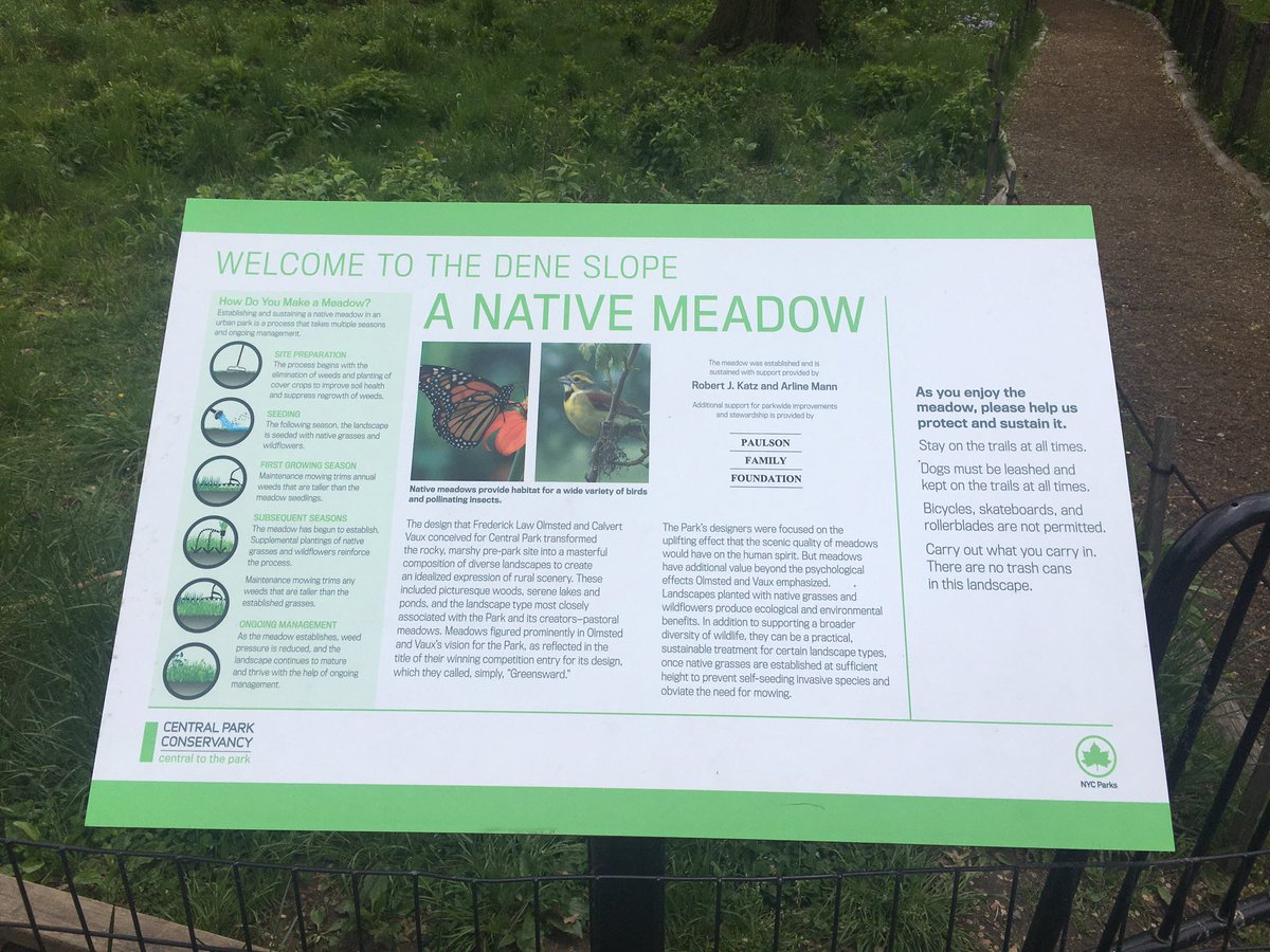 auntytem's tweet photo. @RoseHorowitz31 @NWSNewYorkNY @Mets @CentralParkNYC @MoLepine @RogerClark41 @garykeithron @CitiField Yes had a nice stroll through #thedeneslope #nativemeadow 

You and @craignewmark would love it! https://t.co/gyKneqZF6s