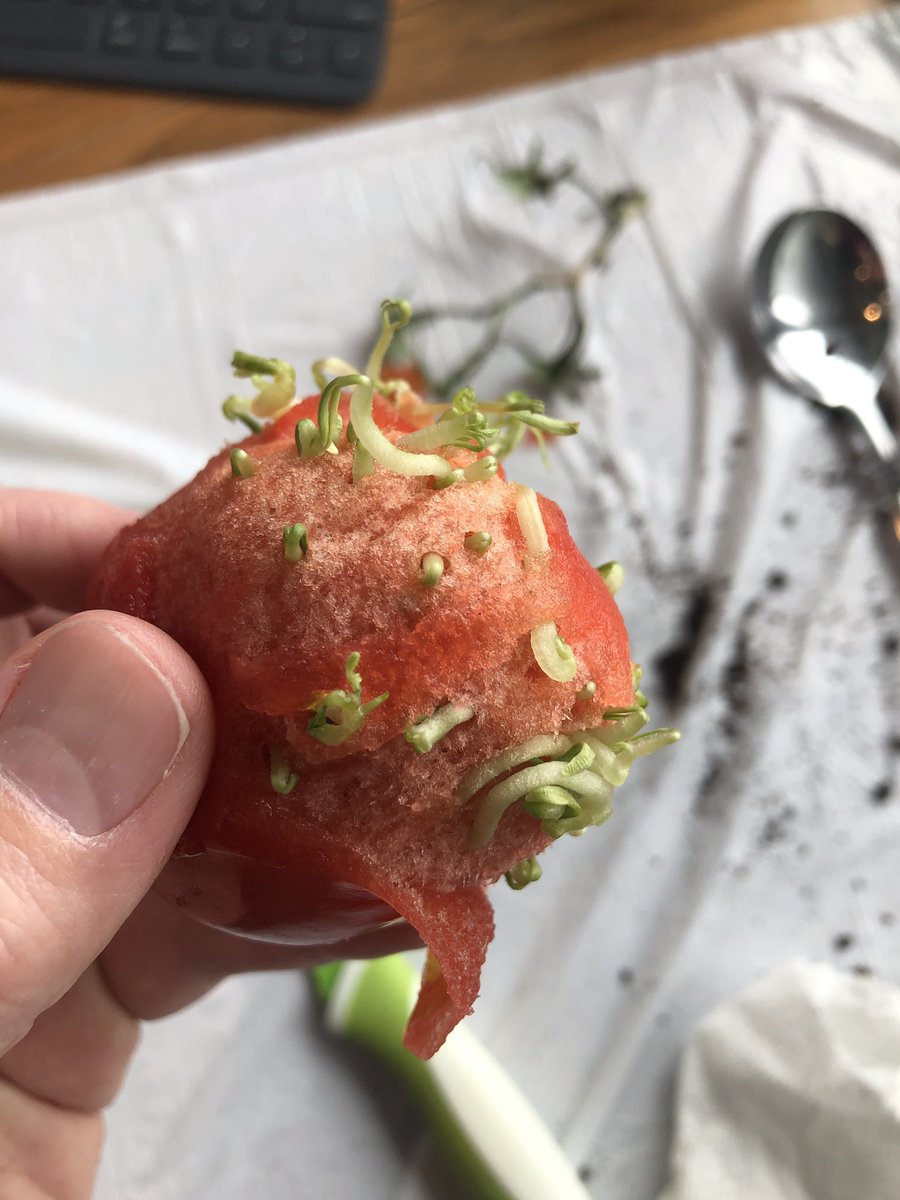 Another view of the sprouts under the skin.