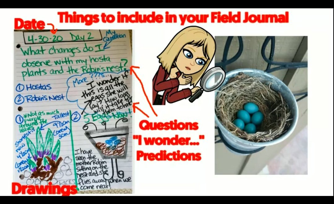 Whitwood2WEDG's tweet photo. #distancelearning isn't keeping our #2ndgraders from #ThinkingLikeAScientist & π for #SignsofSpring π· in their yards, πβ observations, make predictions/ask????s! Use @Flipgrid to teach mini lessons - π the white/blackboard in π½s & selfies! #WEare623 #623STEM #FlipgridFever https://t.co/BYjug7OjnP