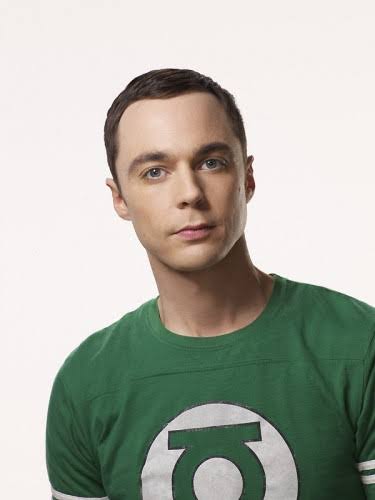 Who's winning this argument?- Sheldon Cooper ( Big Bang Theory)- Walter O'Brian ( Scorpion)