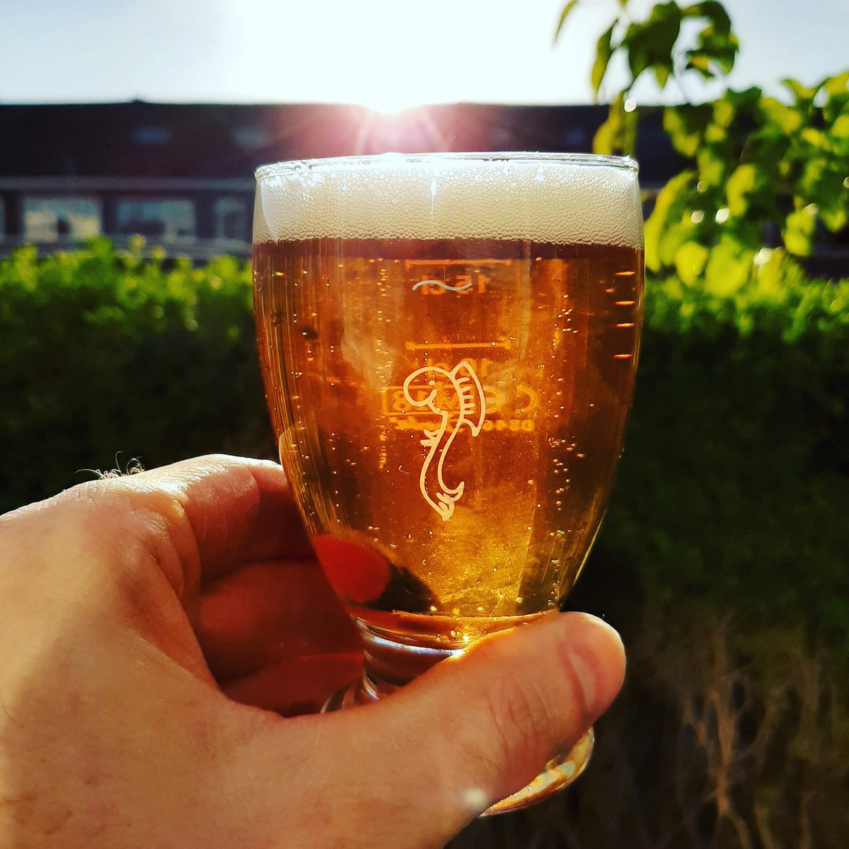 jonahsrocket's tweet photo. Relaxing...NO #gamedev today! https://t.co/YJ8lqmm3G2