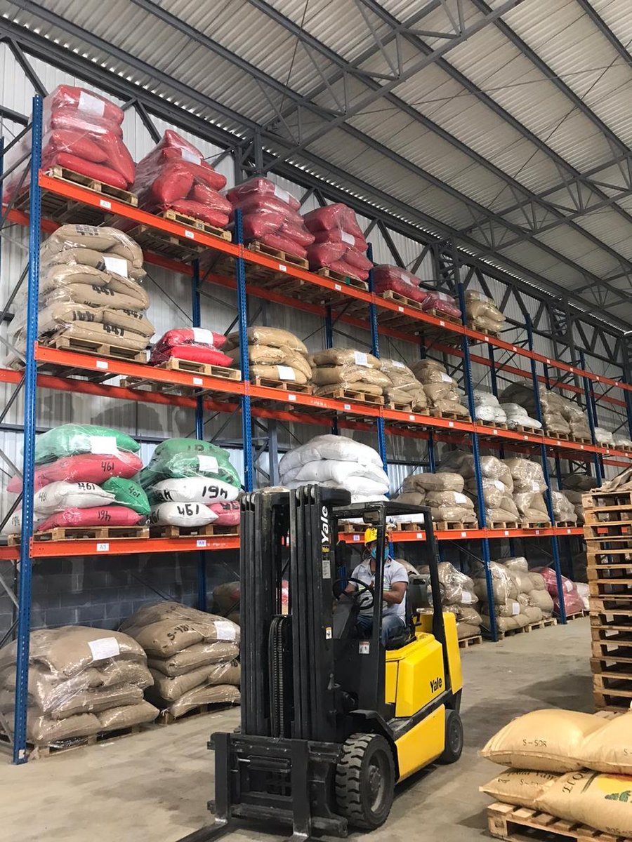 Guatemalacoffee's tweet image. All the 86+ coffees that passed the #CoE2020 Pre-selection round are safely stored in Bicafé. We're very excited about the National Competition and grateful for everybody's support! #GuatemalanCoffees