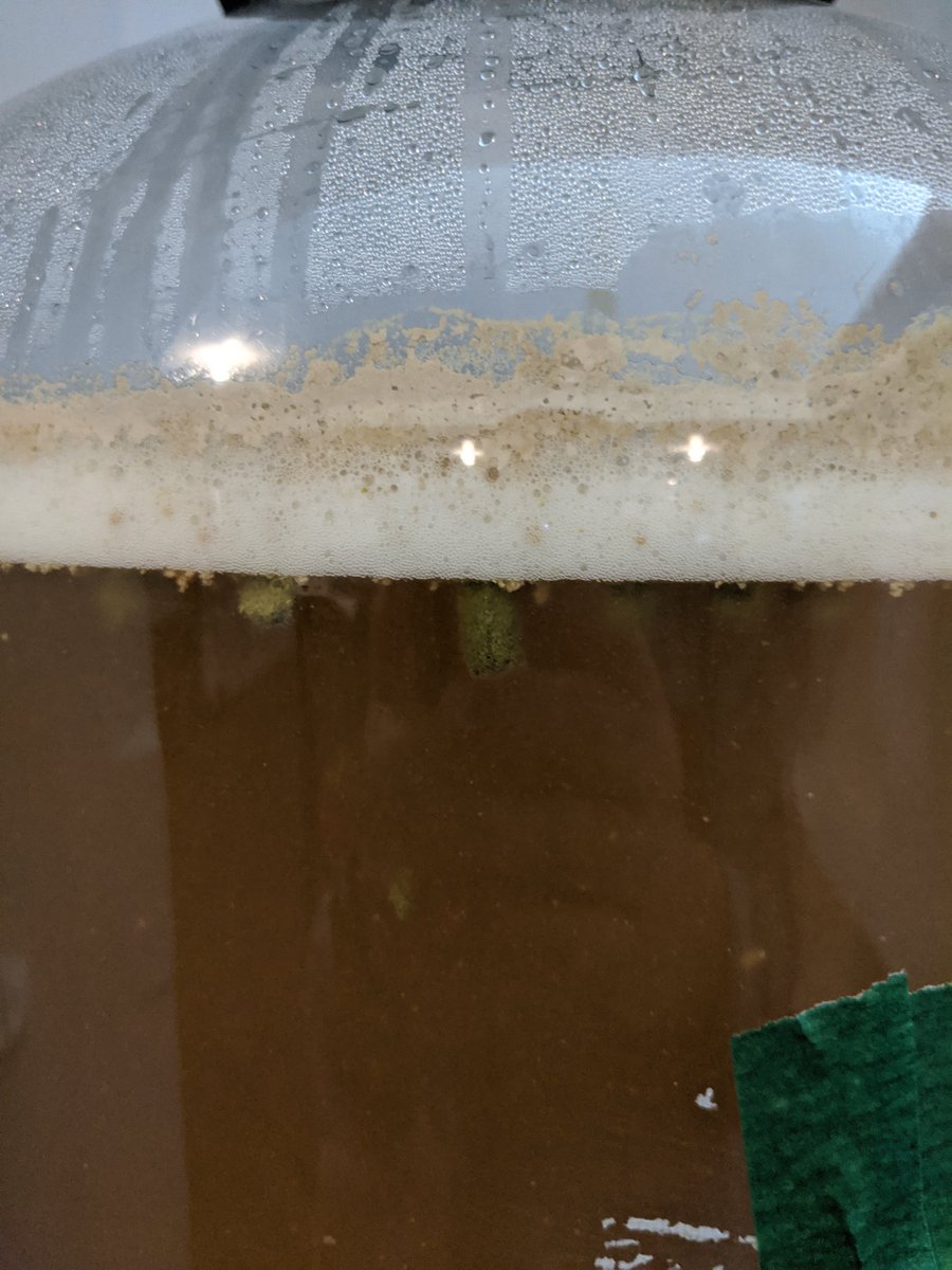 Exit12Homebrew's tweet photo. A successful & smooth #dryhopping of a new iteration of Sam. NEIPA, this time with Idaho 7!! We will be cold crashing tomorrow & hopefully kegging early next week! Cheers!
#Homebrewing #Homebrewporn #pressureferment #Homebrewstuff https://t.co/MADoVjY5QM