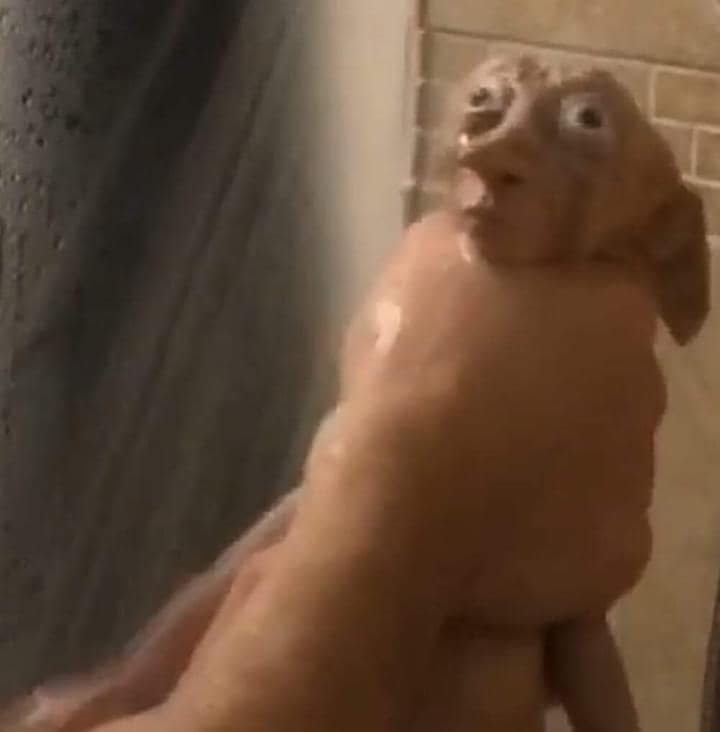 b_eyondthewall_'s tweet photo. não sei como mulher não se irrita de fazer todo um planejamento pra tirar umas nude conceitual 100% gostosa assim pra receber isso aqui devolta https://t.co/8t9ZzQ2Lj8