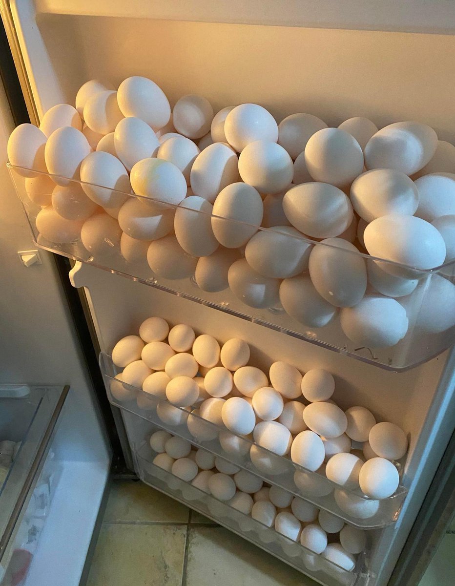 egg fridge (@egg_fridge_) on Twitter photo 2020-05-09 20:12:59