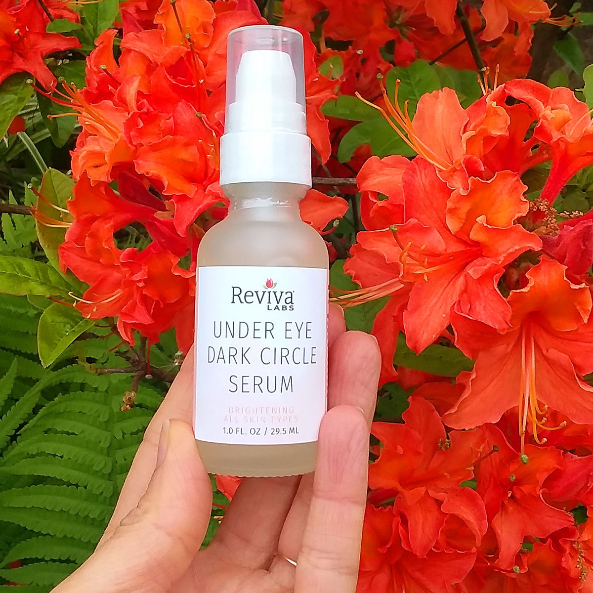 RealRevivaLabs's tweet photo. Under Eye Dark Circle Serum - improve the overall appearance of your tired & puffy eye area.
.
https://t.co/5b0mBanB0M
.
#DMAE #PalmitoylTripeptide #PalmitoylTetrapeptide #HyaluronicAcid #nHydroxysuccinamide #Chrysin #Caffeine #Niacinamide, #MagnesiumAscorbylPhosphate #eyeserum https://t.co/DoGBvHBiI9