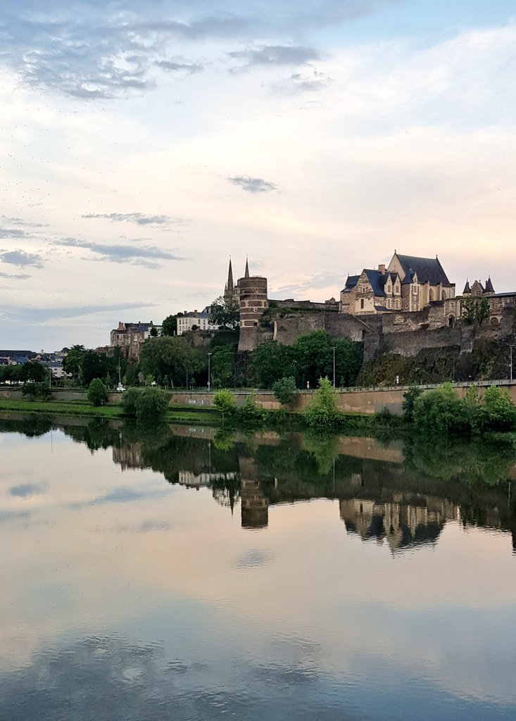 DelpheF's tweet photo. Voir double ce soir en promenant le chien 😍 et ne pas regretter d'avoir quitté Paris pour #Angers https://t.co/yxEcOd5HDV