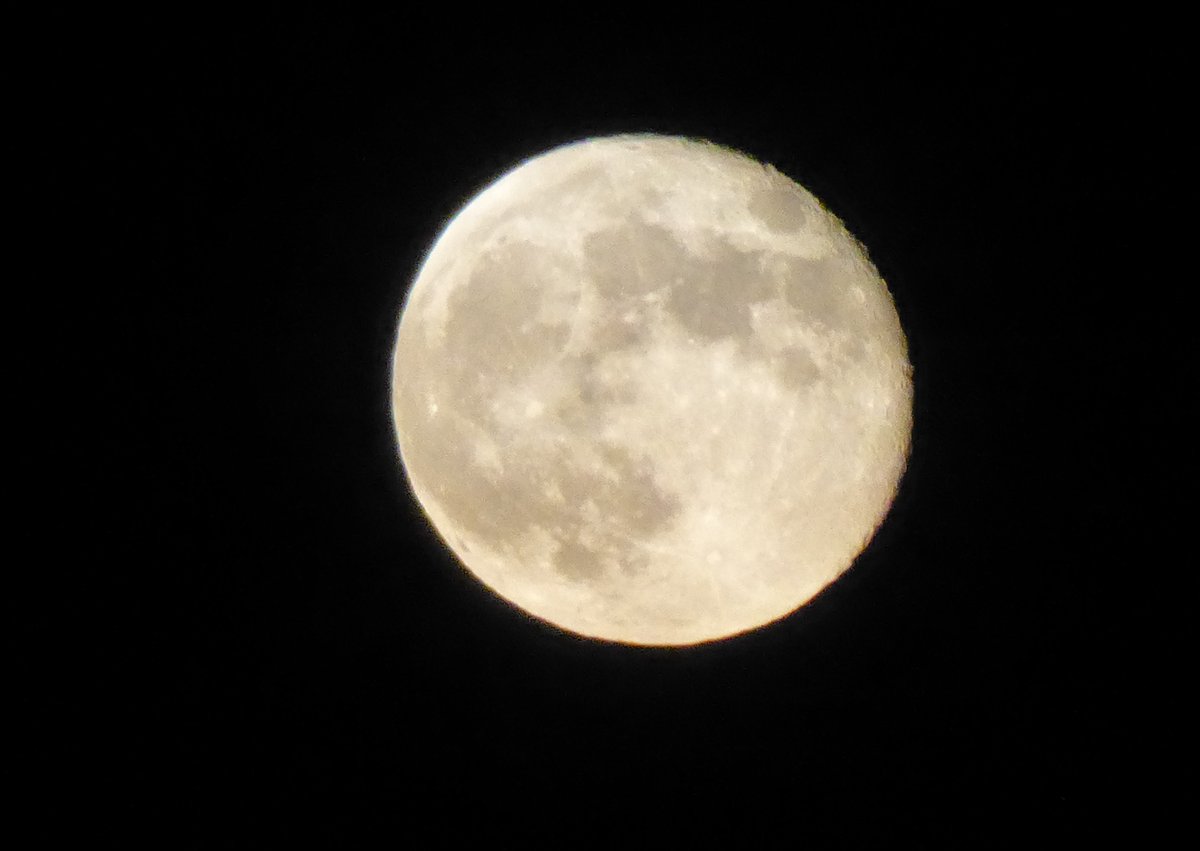 Maid_of_Astolat's tweet photo. When you just have to take a picture of the moon...that! #Moonatic https://t.co/rWOkEzG7g9