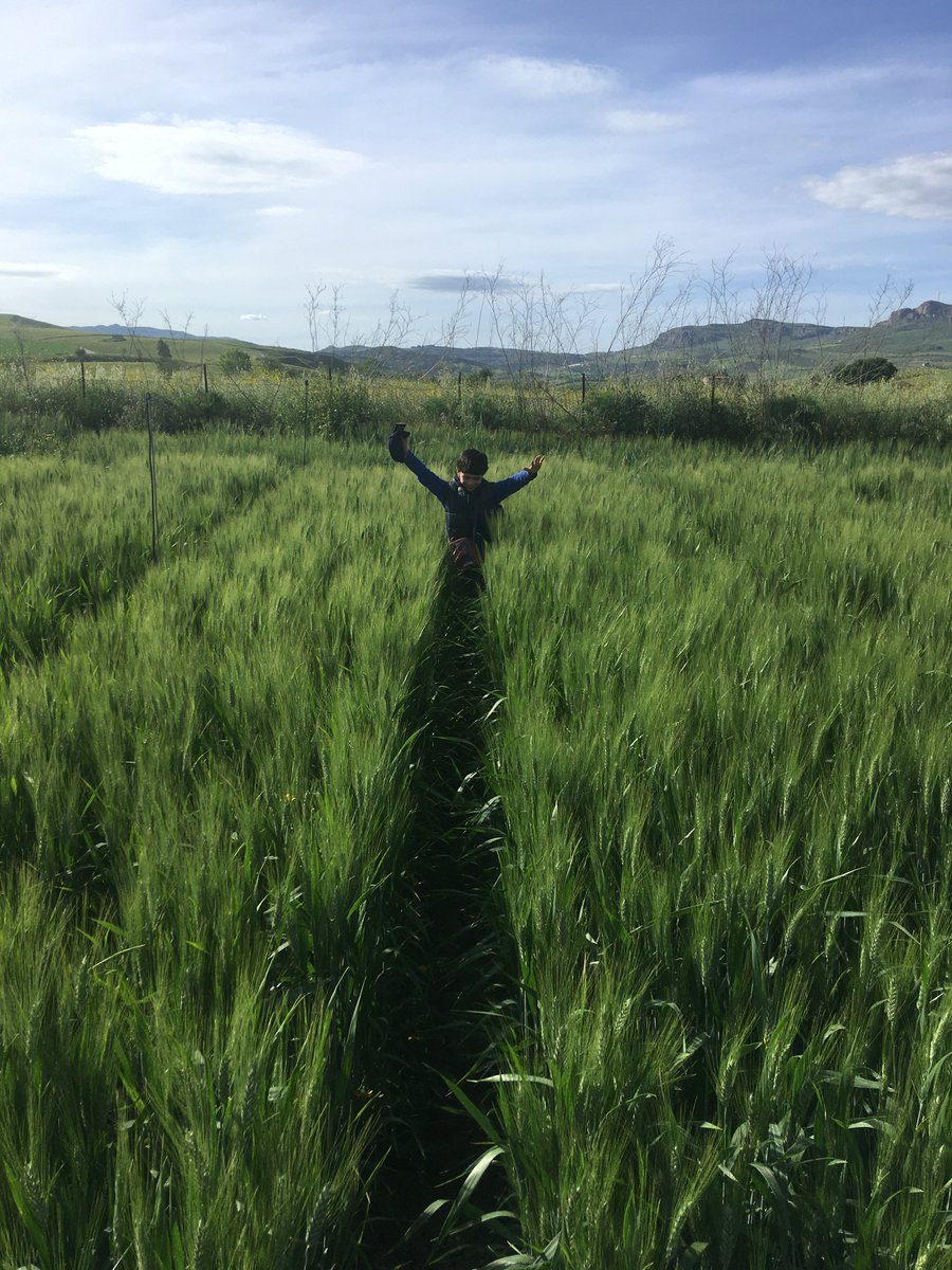 biagiorandazzo tweet media