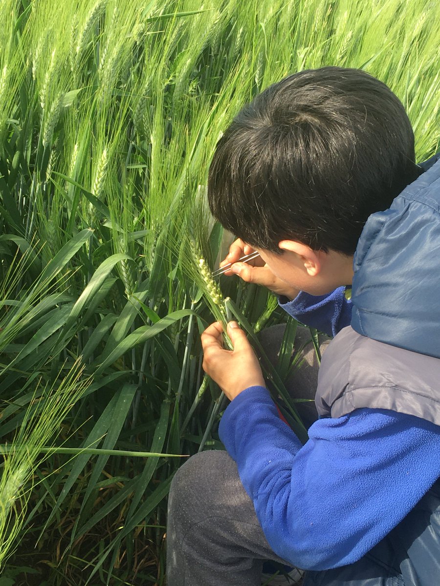 biagiorandazzo tweet media