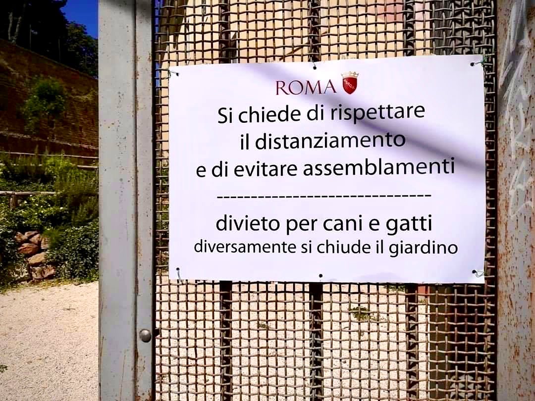 Federica989111's tweet photo. Evitare #assemblamenti 😂
La #Raggi e la sua giunta di #PentaDementi conoscono bene l’itaGLIano! 😅
Da #Roma per oggi è tutto! 🥴 https://t.co/UFHAGgXIdy
