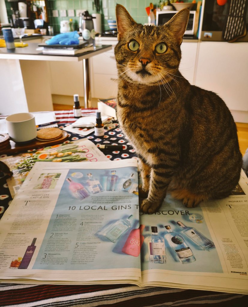 BrightonGin's tweet photo. So our day has absolutely been made by being featured in @waitrose Weekend #LocalGins guide. This is Claude's happy face, in case you were wondering. Thanks again #Waitrose! And we're so hapoy people can order from https://t.co/F14OhxcHW0 https://t.co/OvmD8f0pjn