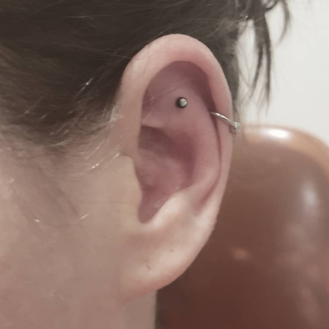 PiercingByBlue's tweet photo. Fresh outer conch piercing done at @studiotentation 
#bodymods #bodymodification #pierced #piercing #freshpiercing #outerconch #outerconchpiercing #piercingideas #piercingideasanyone #earpiercing #originalpiercing @ Studio Tentation https://t.co/Hb5YBntc8M