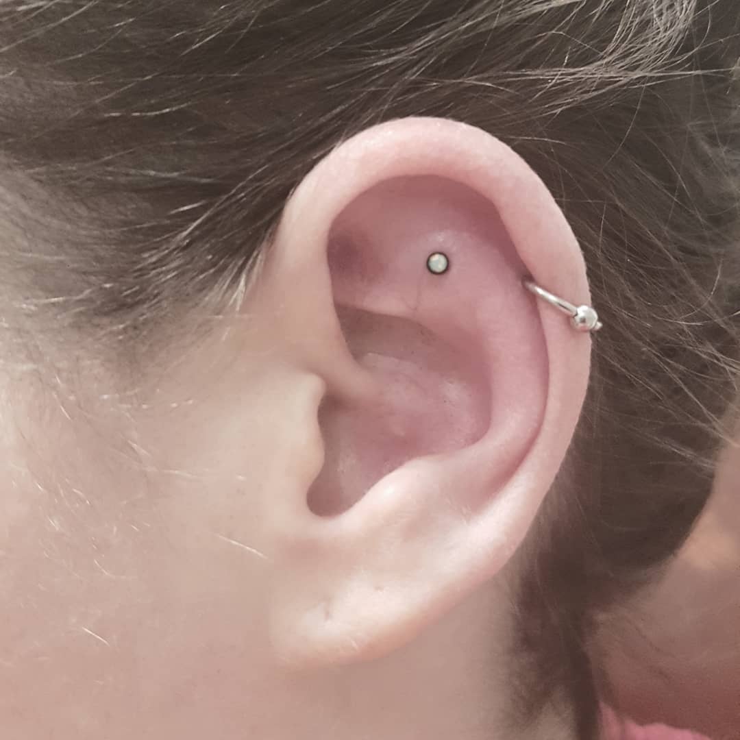 PiercingByBlue's tweet photo. Fresh outer conch piercing done at @studiotentation 
#bodymods #bodymodification #pierced #piercing #freshpiercing #outerconch #outerconchpiercing #piercingideas #piercingideasanyone #earpiercing #originalpiercing @ Studio Tentation https://t.co/Hb5YBntc8M