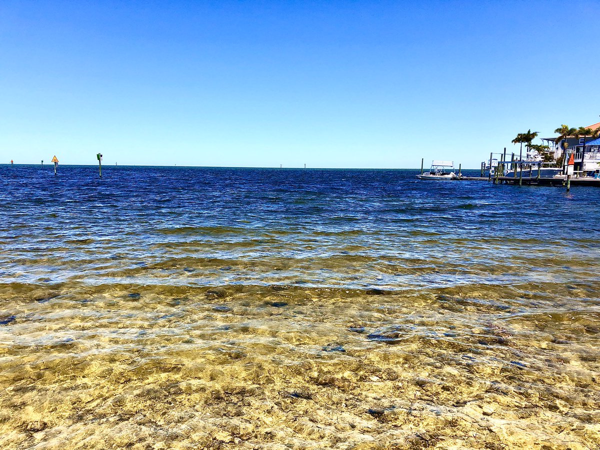 Beach_Express's tweet image. Beautiful day in #hudsonbeach #florida @VISITFLORIDA