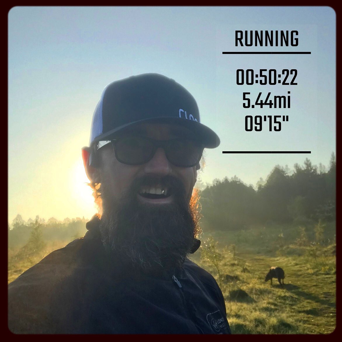 DrTepi's tweet photo. Haven’t had a rest day for 10 days now! 😅🏃🏻♂️💨
The older you get the harder you have to try don’t you agree?
#twitterrunners #twitrun #run #ukrunchat #running #twitterrunner #fit #fitover40 https://t.co/8PN52gr6p7