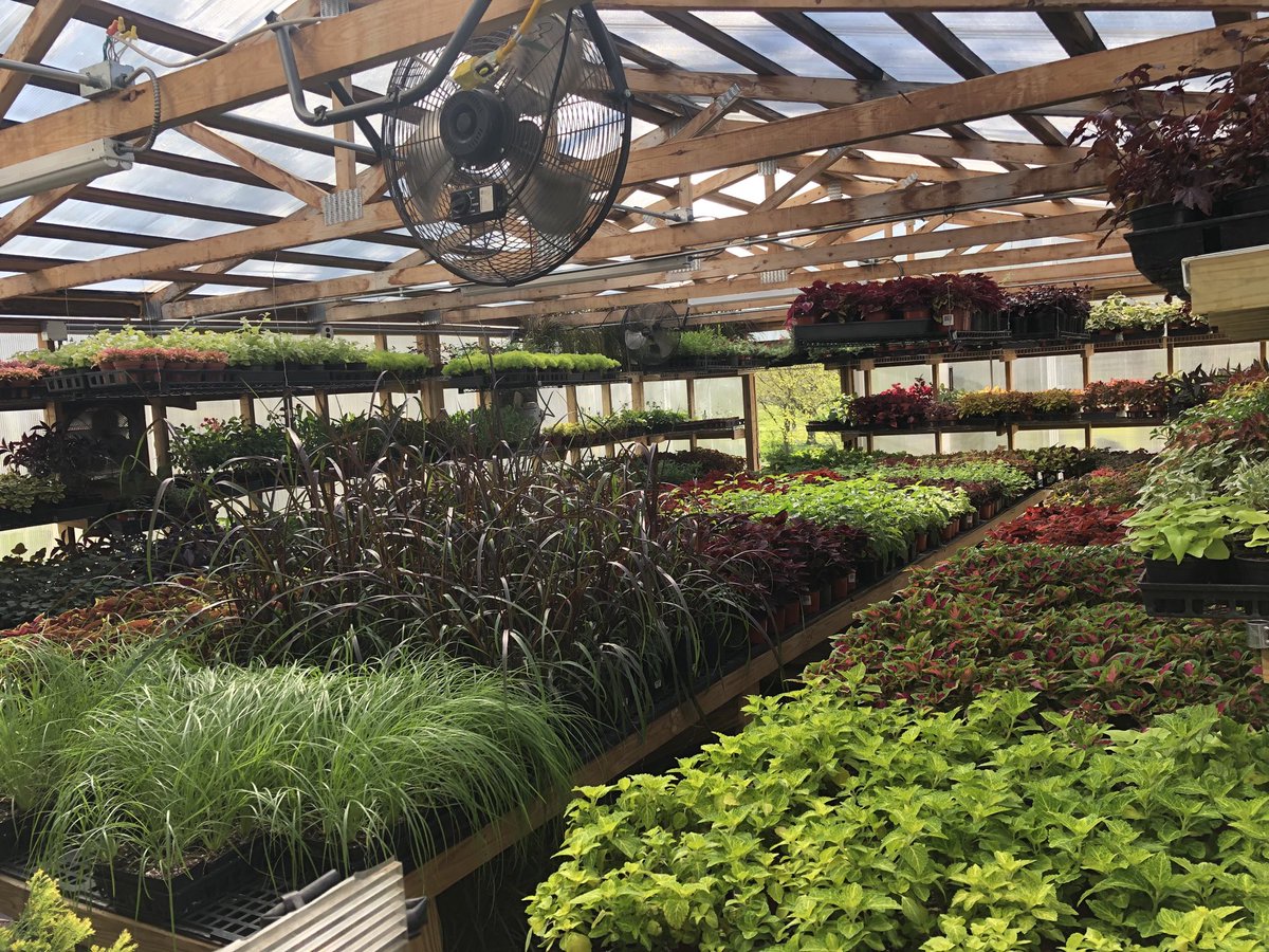 Our amazing horticulturist has our greenhouse packed and ready for planting!  All grown in-house from seed or cuttings. Can’t wait to see the finished products.