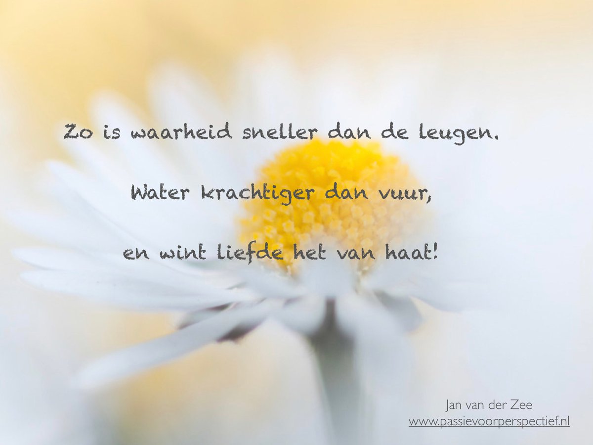 vdzeecoach's tweet photo. Minder over #liefde praten en meer liefde doen! https://t.co/bBp2xi1IEX