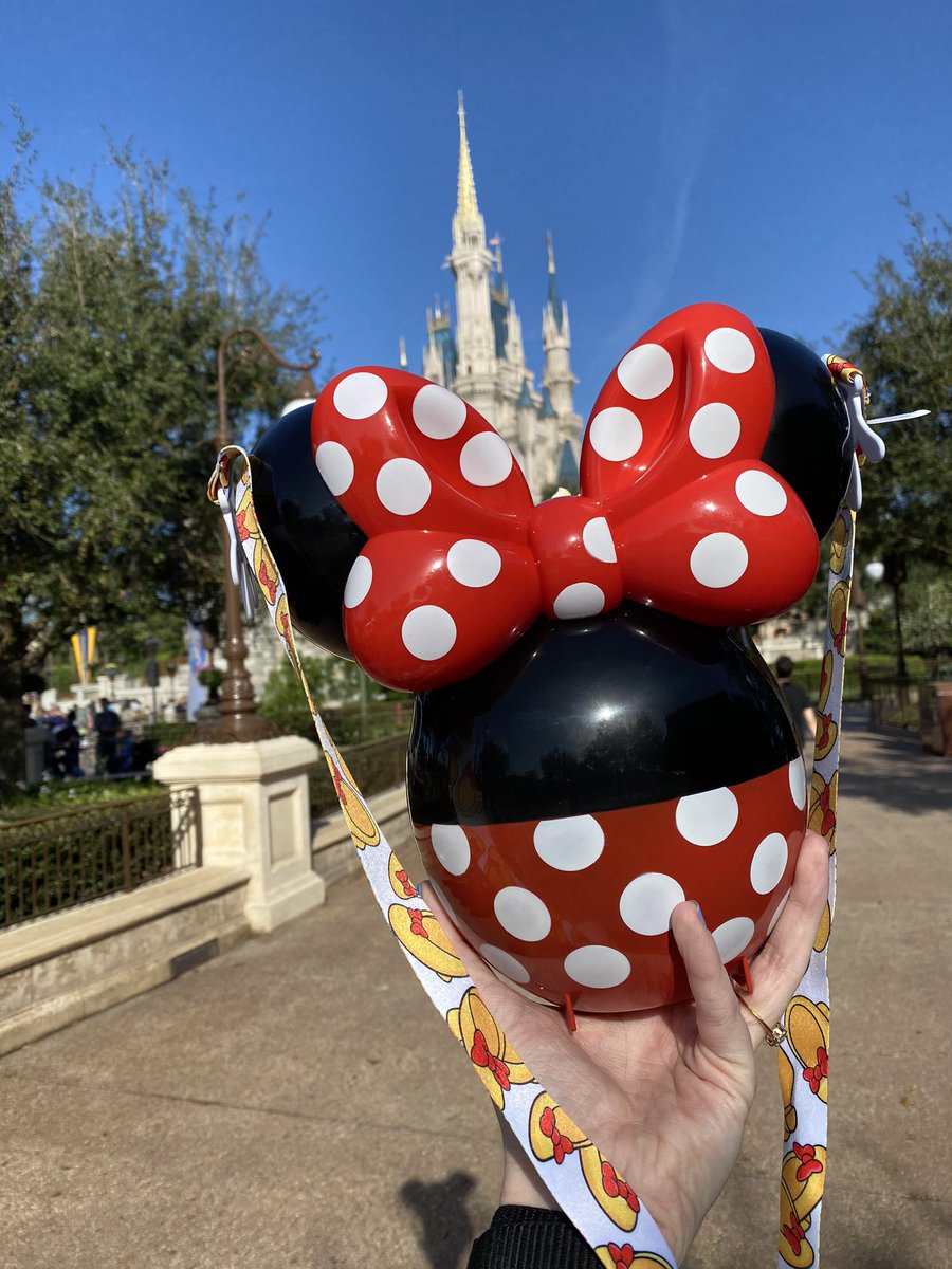 disneywithcassie tweet media