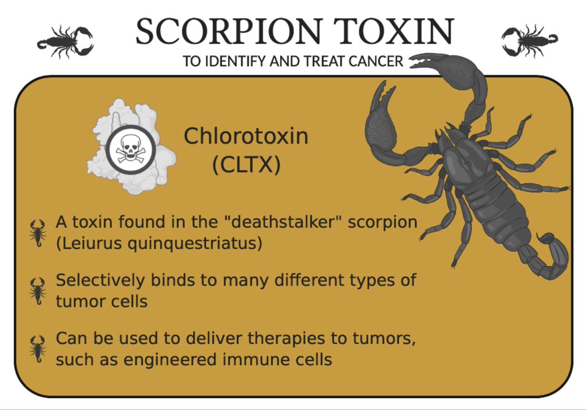 Patrik Andersson tweet media