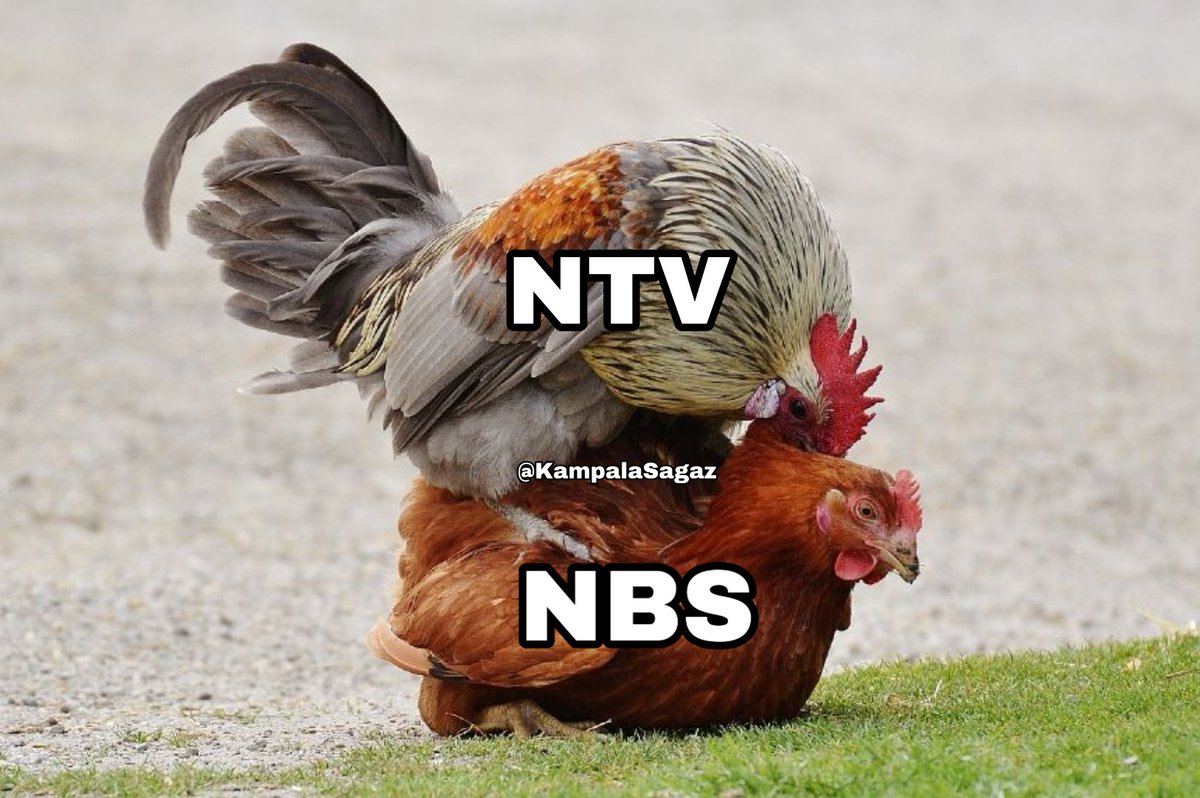 KampalaSagaz's tweet photo. What @ntvuganda  is currently doing to @nbstv with #Chameleone in the building. #NTVDanceParty Vs #NBSSNL https://t.co/XHoMjttSny