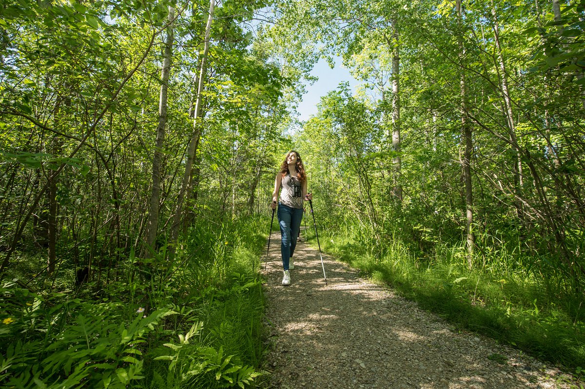 MacGregorPoint's tweet photo. Beginning May 11, we’re providing access to some provincial parks and conservation reserves for limited recreational day-use, such as walking, hiking and biking, with access to the remaining provincial parks -- including MacGregor Point -- on May 15: https://t.co/qLycqABgaJ https://t.co/mmf38nCRii