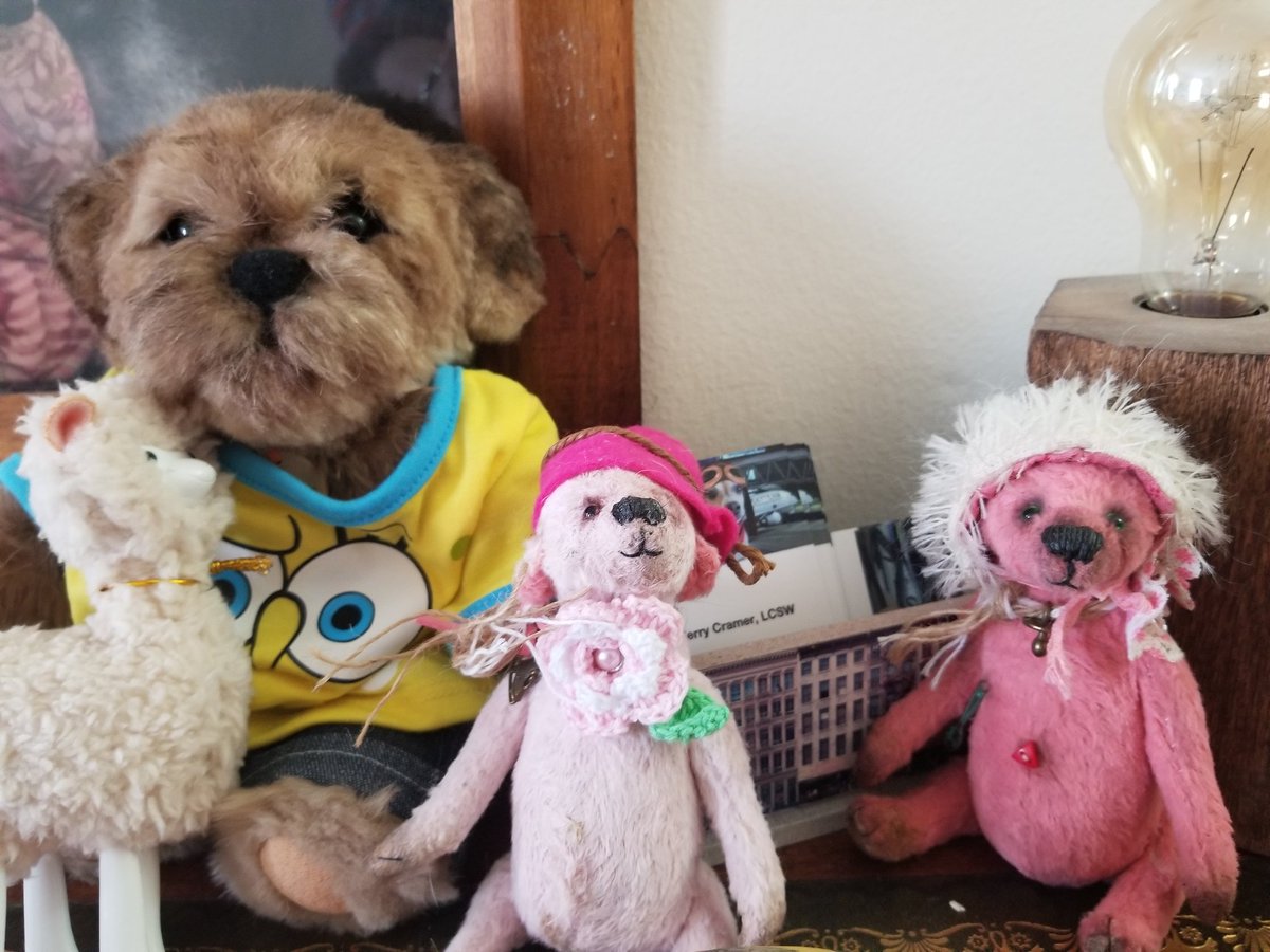 RustyFurr's tweet photo. Hello everyone! It's time for this puppybear to climb into the bunkbed and get some sleep. Nite nite from me, Amall, Roos and Artos!! Love you all. Be healthy and safe! #ToddysHug #ButterbeanHug https://t.co/r8JlyDMKu5
