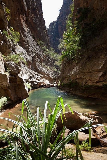 Côté tourisme à Isalo, il faut voir : la piscine naturelle, la fenêtre de l'Isalo (sympa le rocher surtout au coucher de soleil), la reine de l'Isalo (on est fasciné par la pierre dans le coin) et le canion des makis.