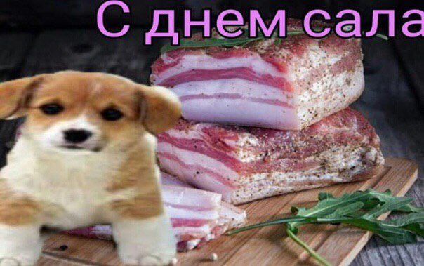 я: мою волосы специальным шампунем и обрабатываю бальзамом и маской

мои волосы через день: