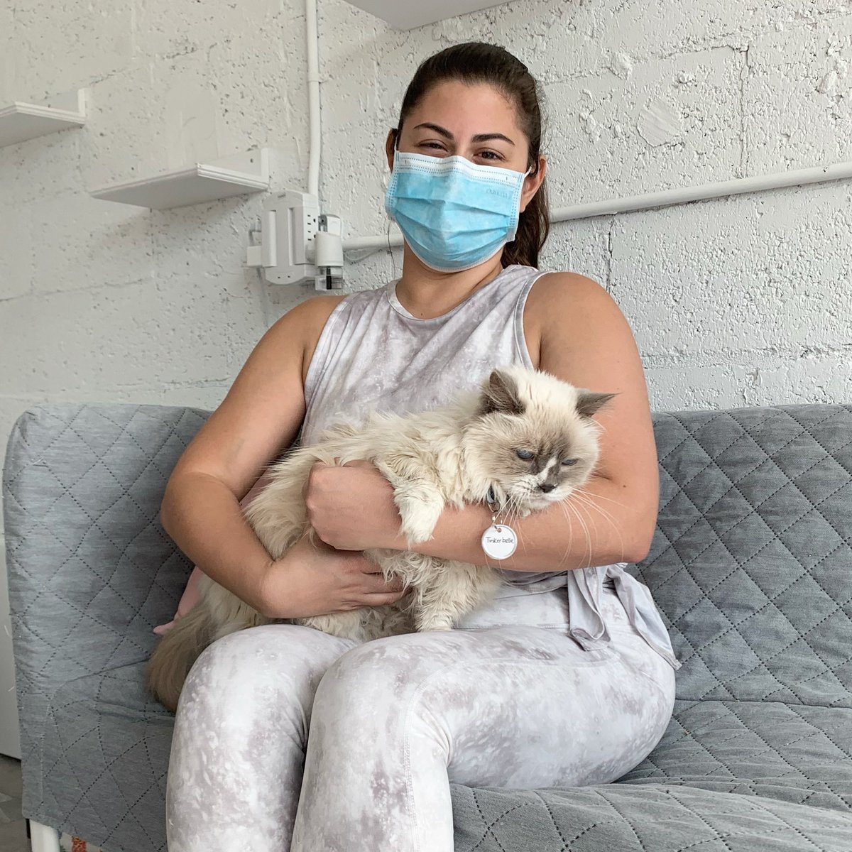 catsmeowcafemia's tweet photo. There’s a big smile underneath that mask! 😁. Tinkerbelle walked right up to her new mamma who ran over here as soon as we made the post. It was meant to be 🥰 Happy Adoption day pretty lady! 💕We are going to miss that beautiful long silky hair #26 #TCMCalumni ✨

#MiamiCatCafe https://t.co/lGwbrJRcuR