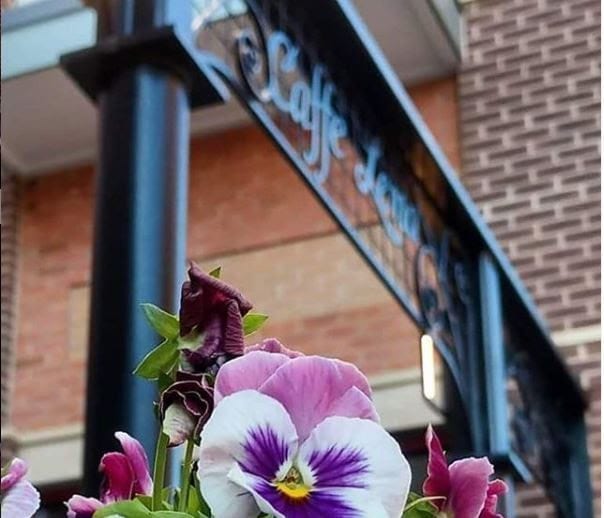 Nippertown's tweet photo. Saratoga woke up to a dusting of snow, while outlying areas are still shoveling. This feels like further evidence that someone threw out the 2020 play book. #CaffeLena #StayHomeSessions https://t.co/H0smiQN1j6 https://t.co/o3jOGqbTuw