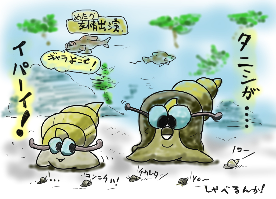Tome3 うちのタニシ 昨年 メダカといっしょにもらった 2個のタニシですが 今年春より急に チッコイ のが沢山 タ チッコイ イウナ 多分大きいのがメスだと思うんですけど 某アニメだとタニシ食わされるですよね いや 食わんし タニシ めだか Tome3 うちのタニシ 昨年 メダカといっしょにもらった 2個のタニシですが 今年春より急に チッコイ のが沢山 タ チッコイ イウナ 多分大きいのがメスだと思うんですけど 某アニメだとタニシ食わされるですよね いや 食わんし タニシ めだか