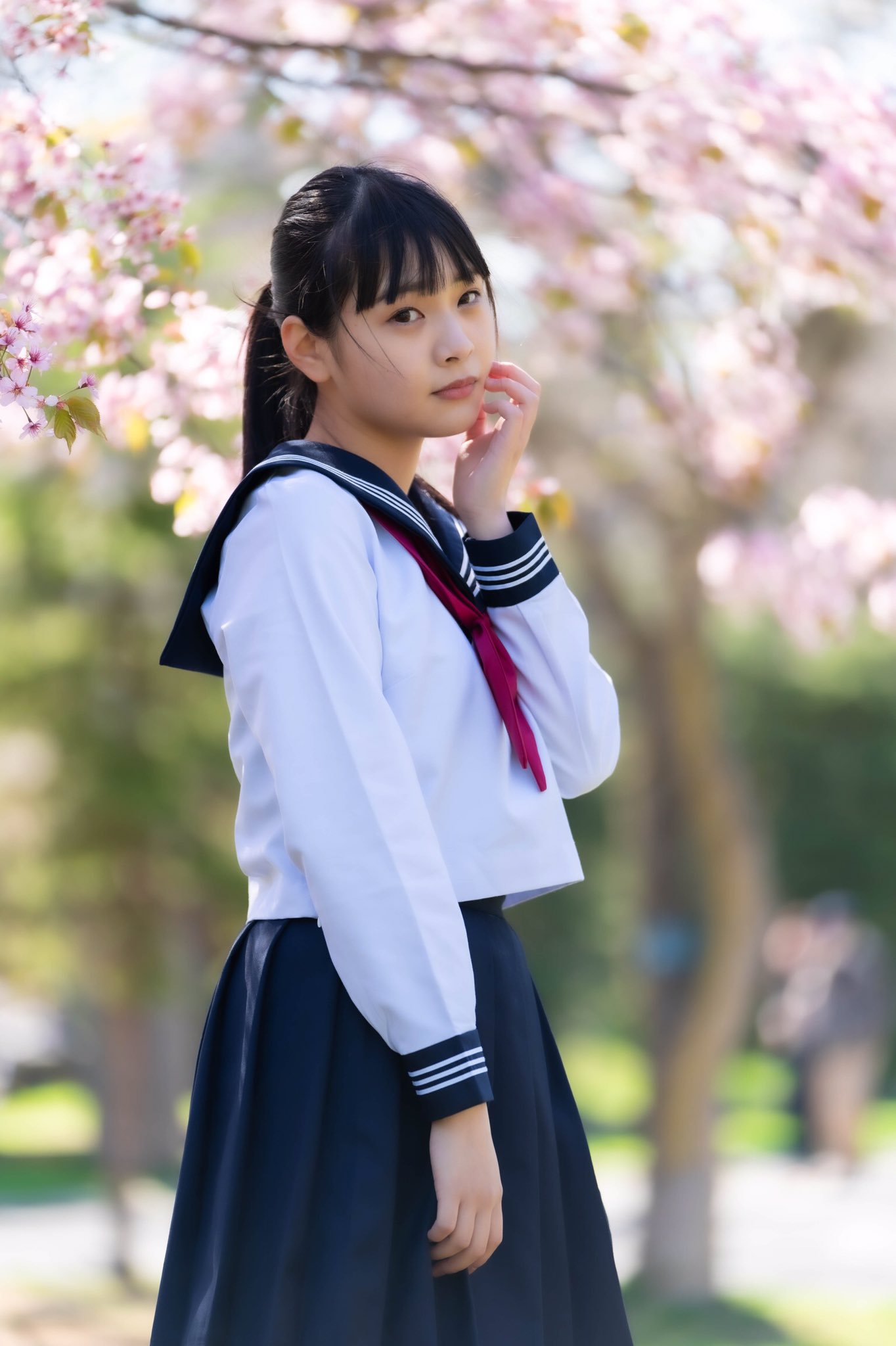 どさんこ39😺 on X: どさんこ39😺 on X: