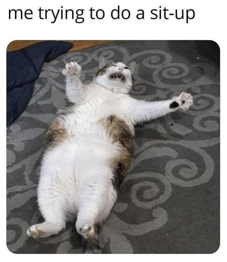 snotzthecat's tweet photo. #HelpMeUp https://t.co/RlNfZbmn3l
