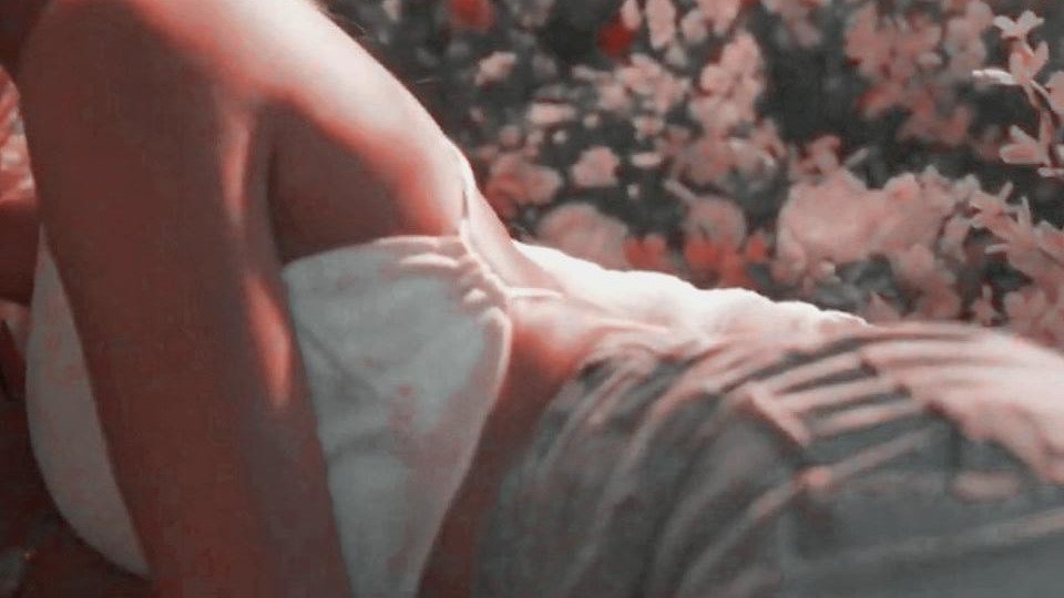 jaileystar's tweet image. 