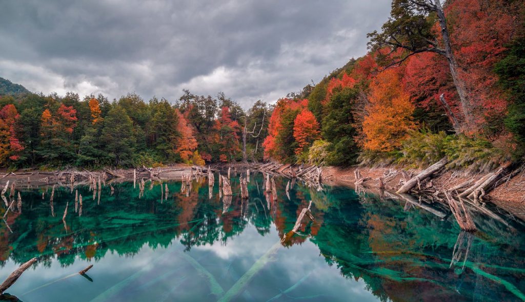 Los Parques Nacionales de Chile y reservas nacionales se preparan para abrir en forma gradual🇨🇱
ecotripschile.com/parques-nacion…

#ParqueNacional 
#ecotripschile