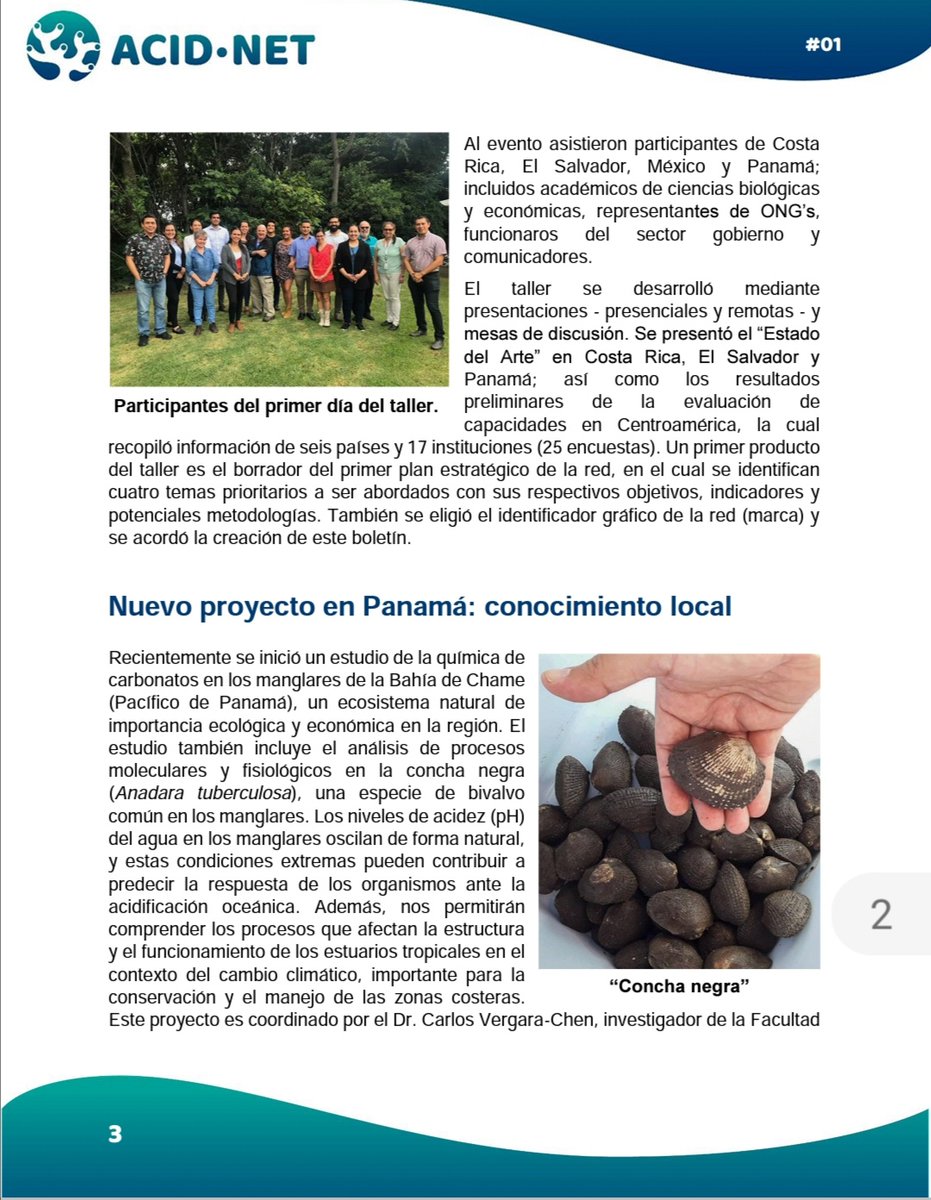 vergara_chen's tweet photo. Primer boletín de ACID-NET, la Red Centroamericana de Acidificación Oceánica, promoviendo la investigación y conciencia ciudadana sobre este problema ecológico del medio marino #AcidificaciónOceánica #ElSalvador #CostaRica #Panamá #CienciaEnPanamá #ColectivoDeEcólogos https://t.co/6GHMhiugql