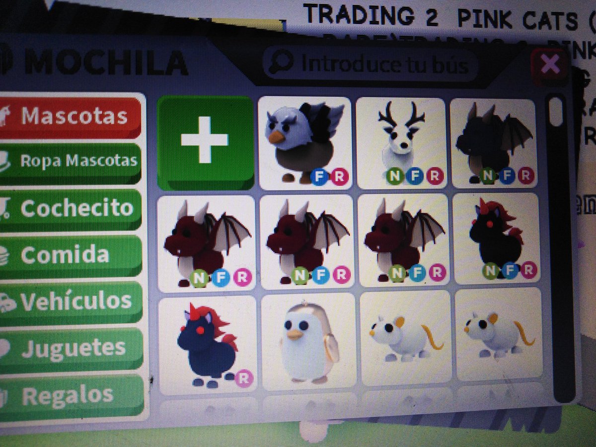 xFranGame1's tweet photo. Offers??  (I have gosh car looking tombstone) #adoptmetrades #adoptmetrade #adoptmetrading #adoptmefan #adoptme https://t.co/Ggkqu5DJJ9