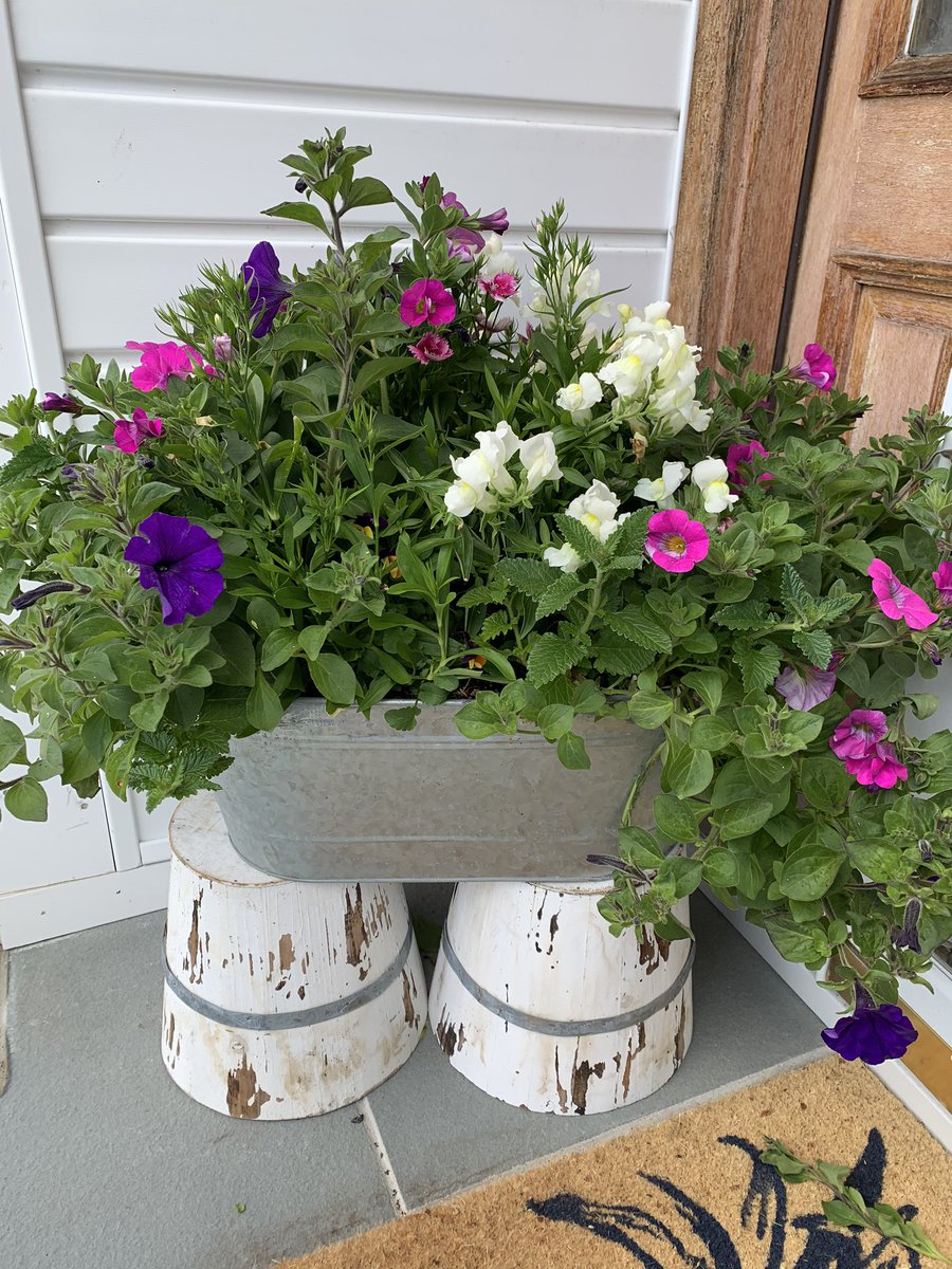 Kathleen Iverson tweet media